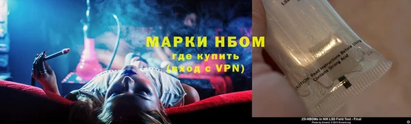 индика Вязники