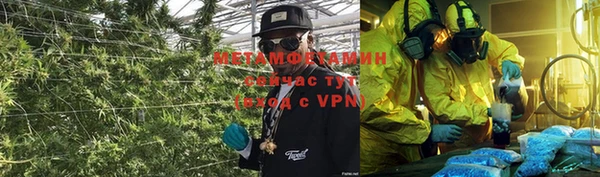 индика Вязники