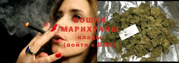 индика Сясьстрой