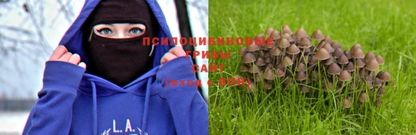 герыч Тайга