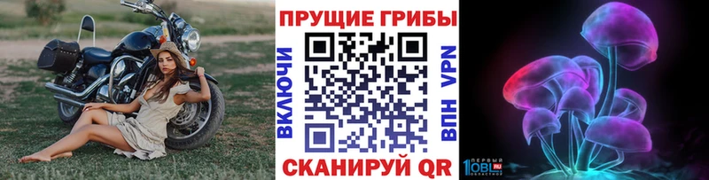 Галлюциногенные грибы Magic Shrooms  ОМГ ОМГ маркетплейс  Калтан  наркошоп 